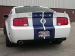 Ford Mustang GT500 by StangNet 2007 года